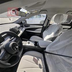 بي واي دي Qin Plus